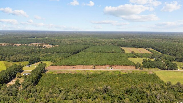 LOTB1 Black Creek Rd, Nichols, SC 29581 - photo 3