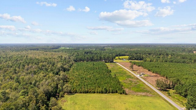 LOTB1 Black Creek Rd, Nichols, SC 29581 - photo 4