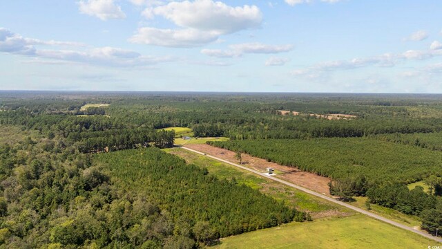 LOTB1 Black Creek Rd, Nichols, SC 29581 - photo 5