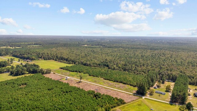 LOTB1 Black Creek Rd, Nichols, SC 29581 - photo 11