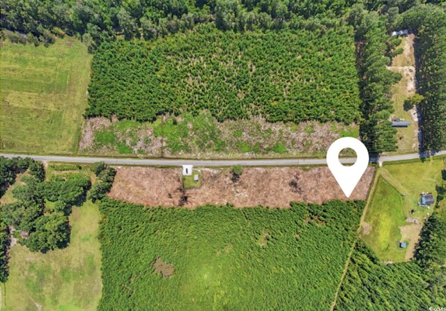 LOTB1 Black Creek Rd, Nichols, SC 29581 - photo 14