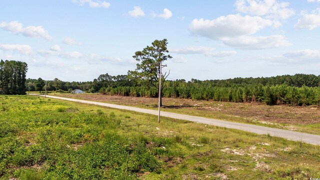 LOTB1 Black Creek Rd, Nichols, SC 29581 - photo 17