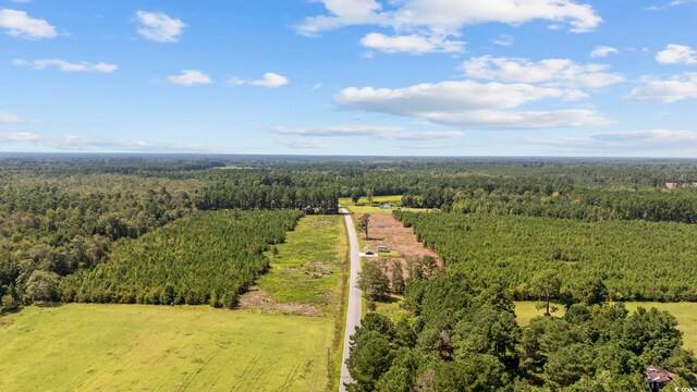 LOTB1 Black Creek Rd, Nichols, SC 29581 - photo 21