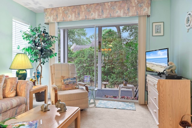 view of carpeted living room