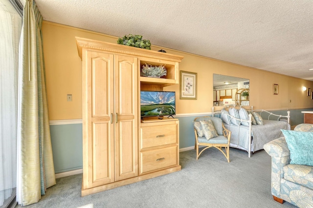 living area featuring a textured ceiling and light colored carpet