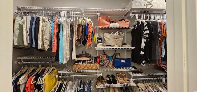 view of closet