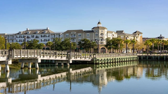 dock area with a water view