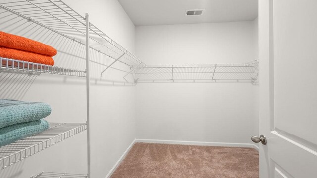 spacious closet featuring carpet floors