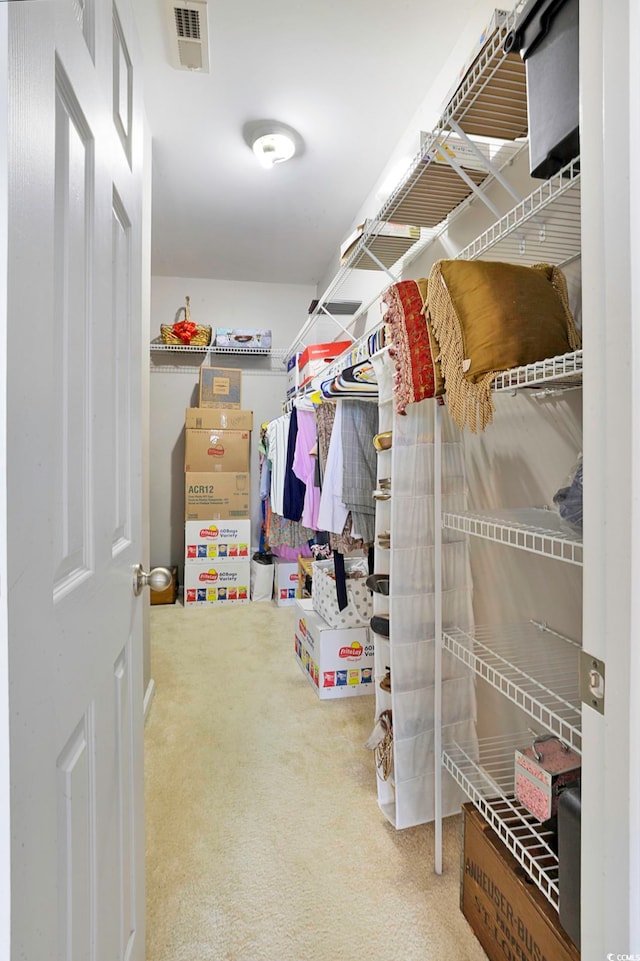 walk in closet with carpet flooring