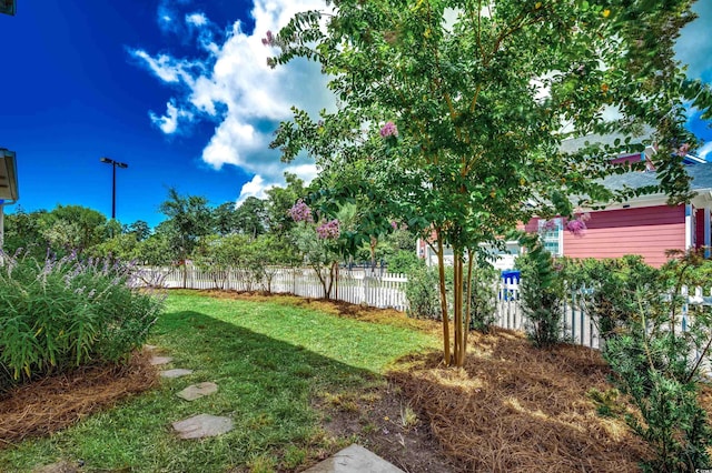 1348 Peterson St, Myrtle Beach, SC 29577 - view of yard