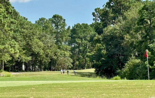 view of community featuring a yard