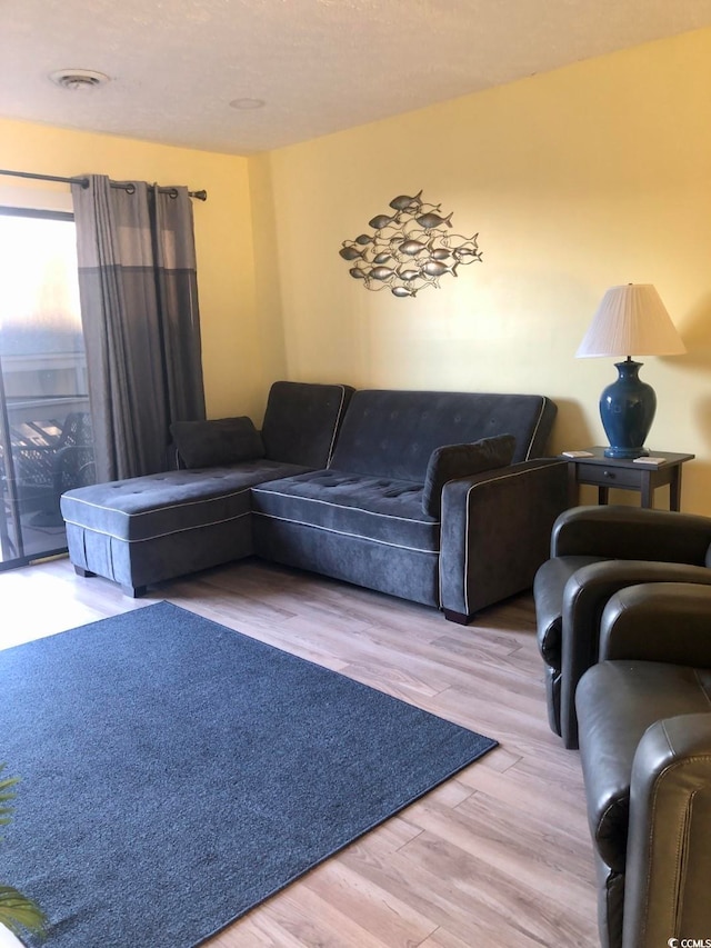 living room featuring hardwood / wood-style flooring