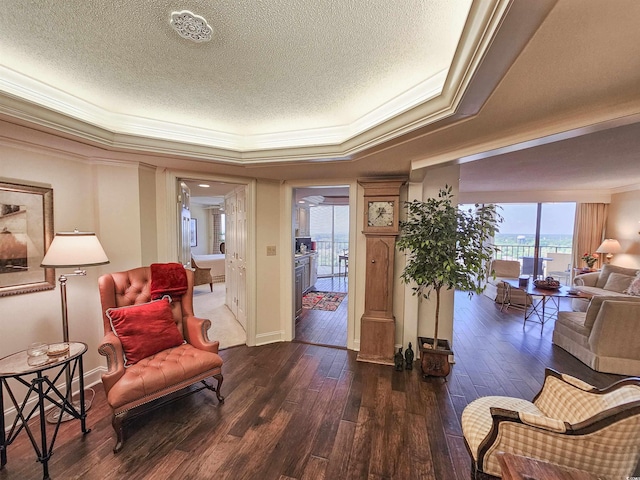 living area featuring a tray ceiling, dark wood-type flooring, and a healthy amount of sunlight