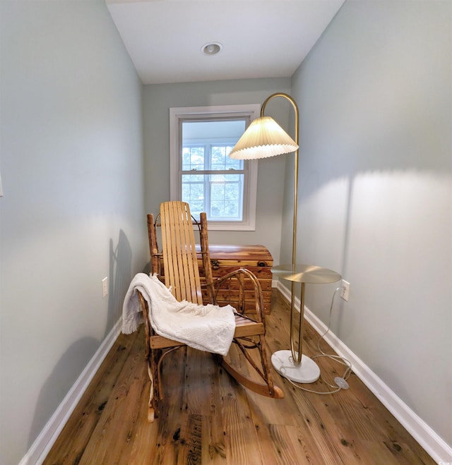 living area featuring dark wood-type flooring