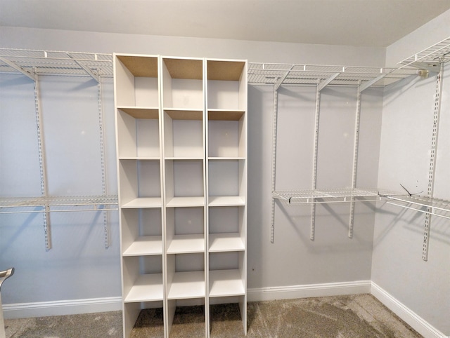 spacious closet with carpet