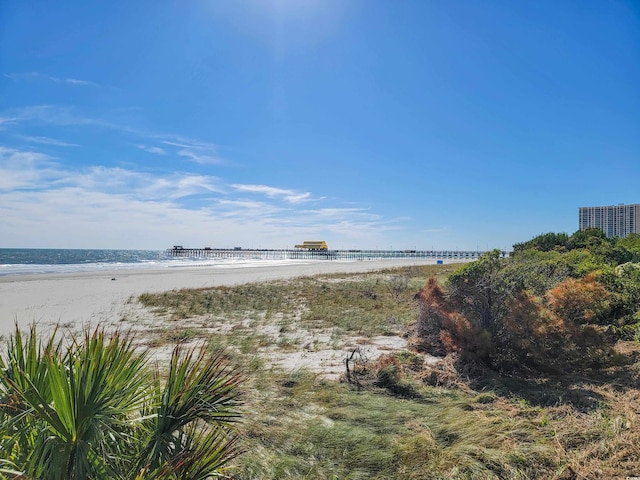 water view featuring a beach view