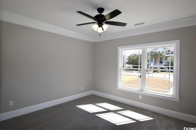 1100 Maccoa Dr, Conway, SC 29526 - photo 24