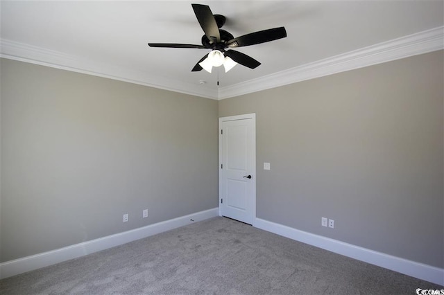 spare room with ceiling fan, crown molding, and carpet floors