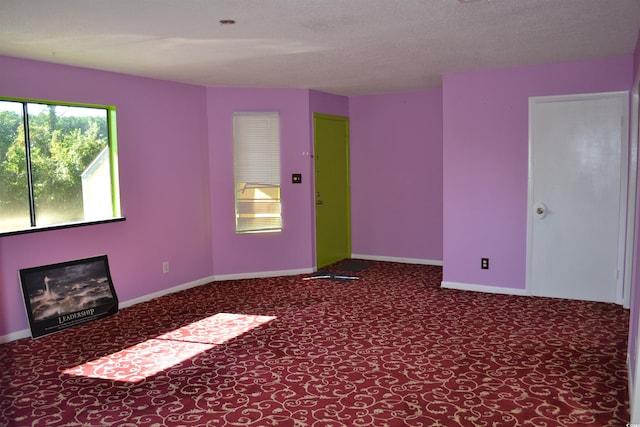 empty room featuring carpet and a textured ceiling