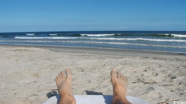 view of water feature with a beach view