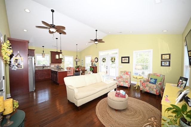 living room with plenty of natural light, dark hardwood / wood-style flooring, and french doors