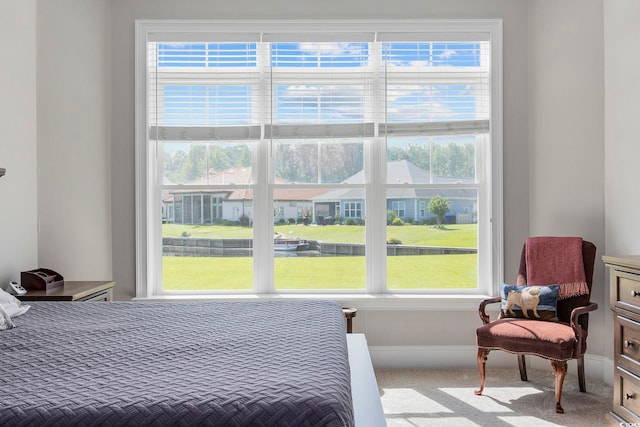 bedroom featuring carpet