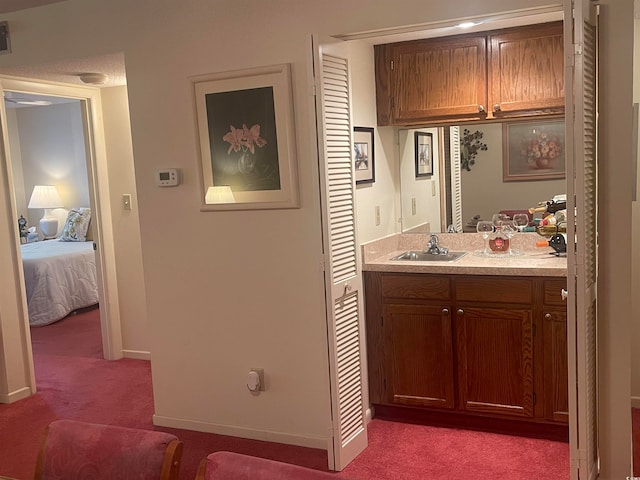 interior space with sink and carpet floors