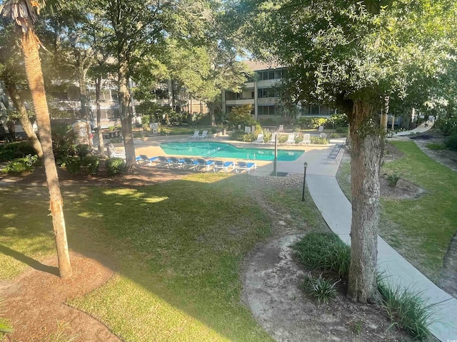 view of swimming pool featuring a lawn