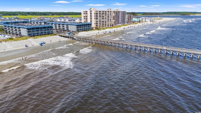 bird's eye view with a beach view and a water view