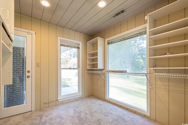 interior space with light carpet and wood walls