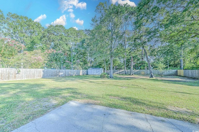 view of yard with a shed