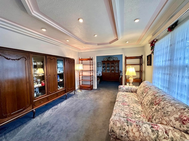 interior space with a textured ceiling, ornamental molding, and a raised ceiling