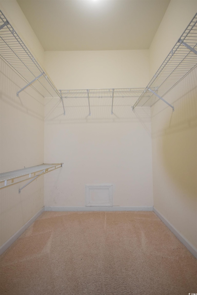 spacious closet featuring light colored carpet