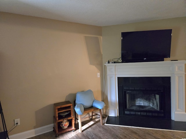 living area featuring wood-type flooring