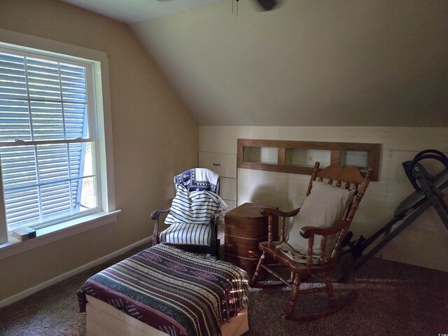 carpeted bedroom with lofted ceiling