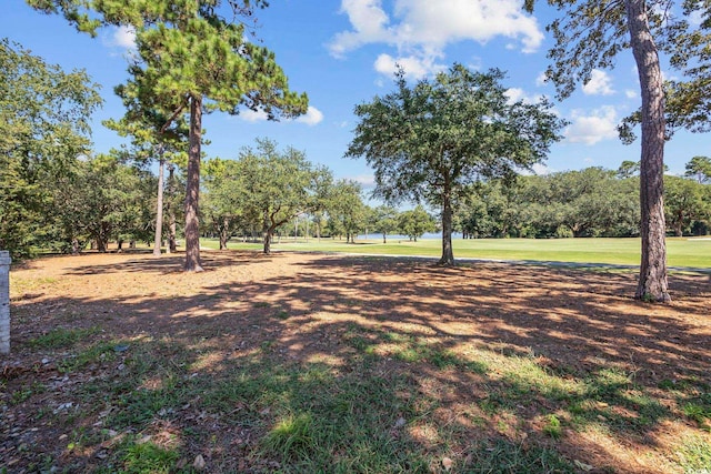 9318 Cove Dr, Myrtle Beach, SC 29572 - view of yard