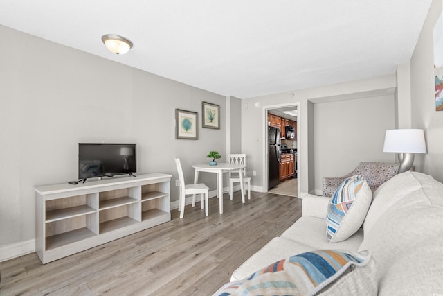 living room featuring light hardwood / wood-style floors