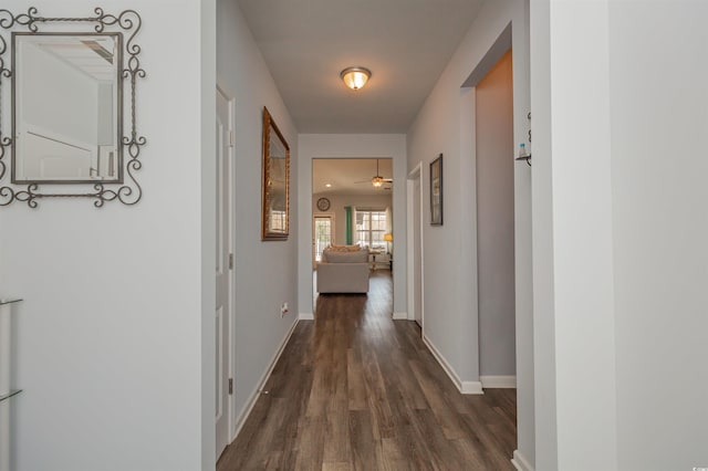 hallway featuring dark hardwood / wood-style flooring