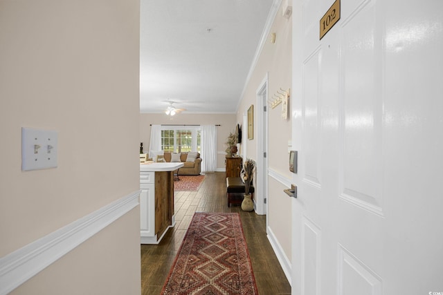 hallway featuring dark hardwood / wood-style floors and crown molding