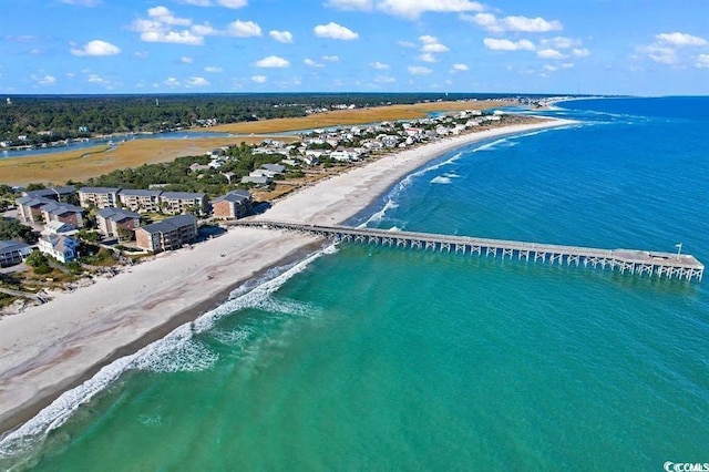 drone / aerial view with a water view and a view of the beach