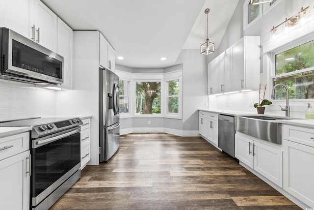 kitchen with appliances with stainless steel finishes, a wealth of natural light, dark hardwood / wood-style flooring, and white cabinets