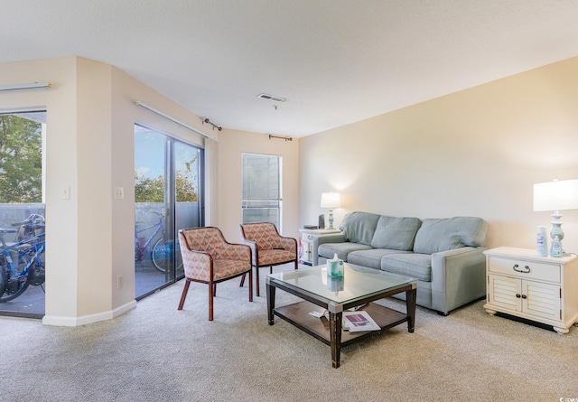 view of carpeted living room