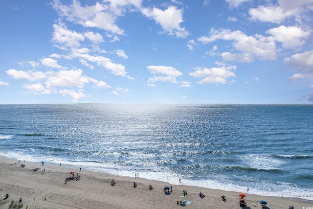 water view with a view of the beach