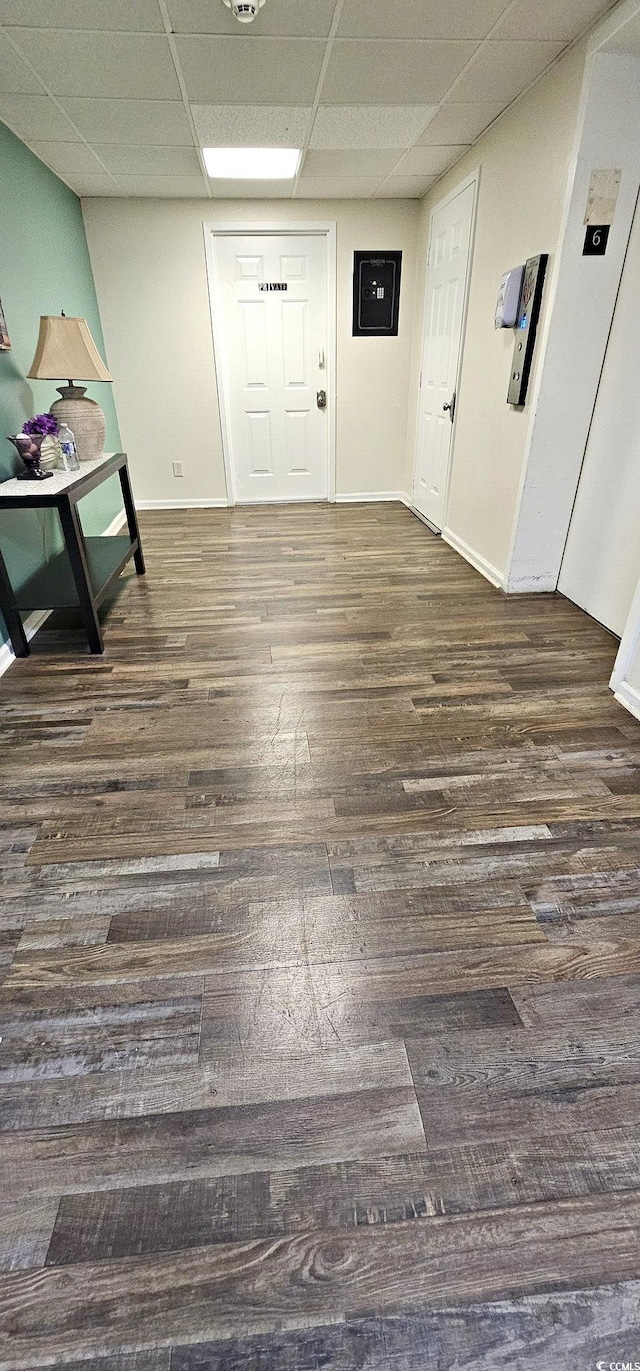 foyer entrance featuring a drop ceiling, dark wood finished floors, and baseboards