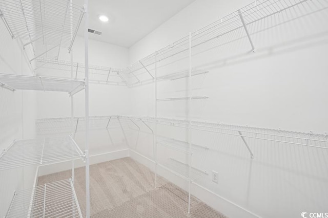 walk in closet featuring carpet floors