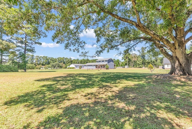 3747 Bakers Chapel Rd, Aynor, SC 29511 - view of grassy yard