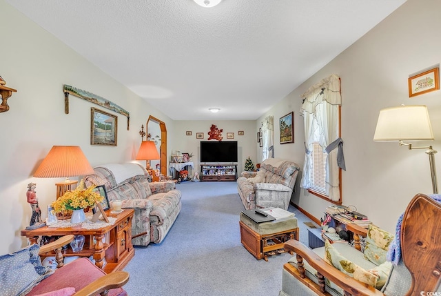 carpeted living room with a textured ceiling