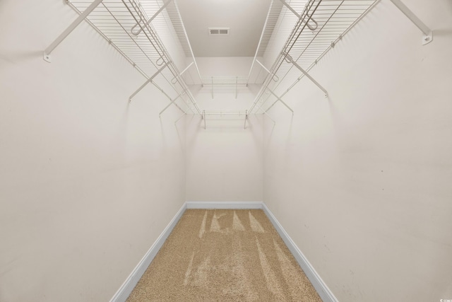 spacious closet with carpet