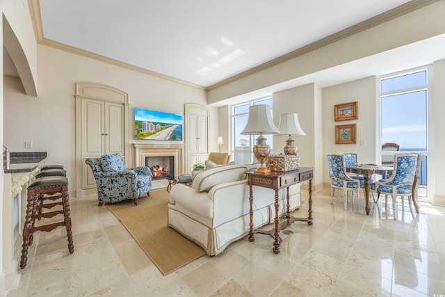 living room featuring ornamental molding