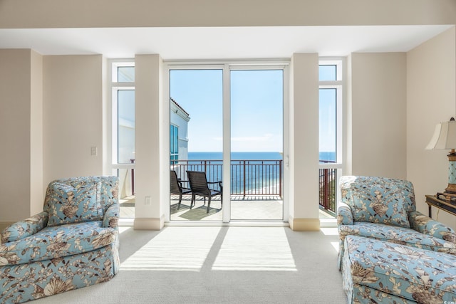 carpeted living room with a healthy amount of sunlight and a water view